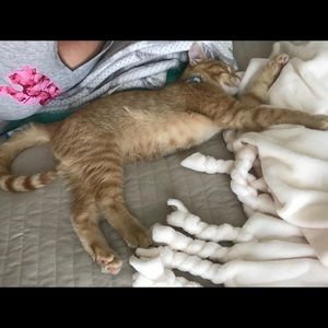 Meet your Posher, Linda